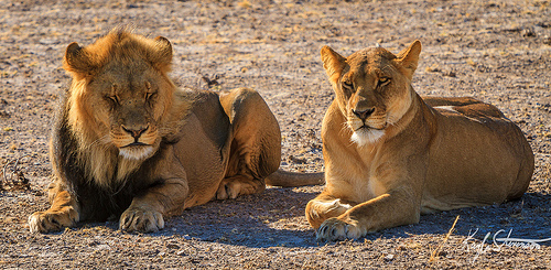 10 khu bảo tồn hoang d&atilde; đẹp nhất ch&acirc;u Phi